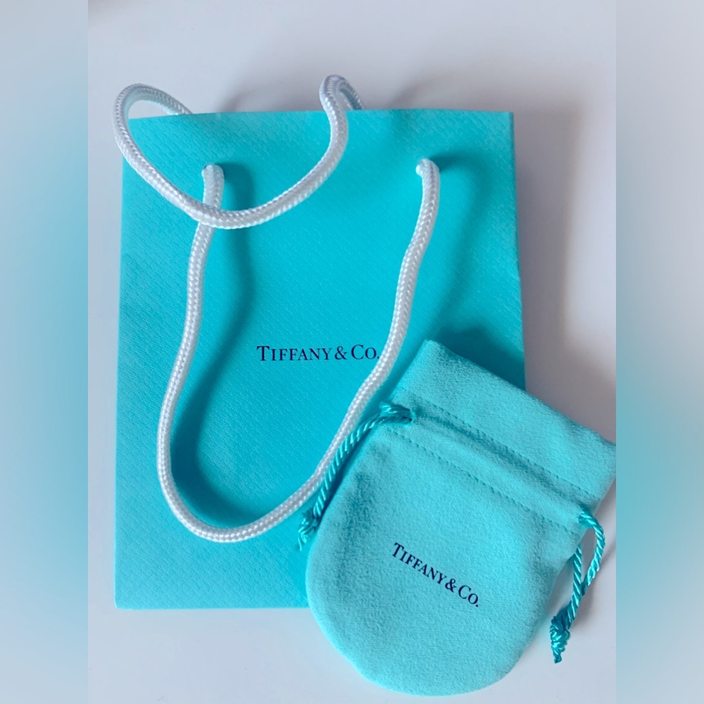 Tiffany & Co small bag and pouch